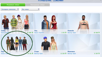 Photo of «The Sims: Как создать семью»